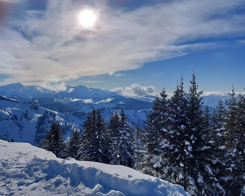 Appartamento Di Charme Praz-sur-Arly 0*,  France