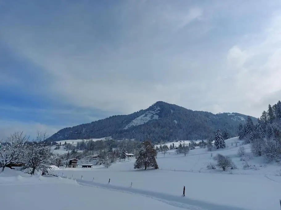Appartamento Di Charme Praz-sur-Arly Apartment