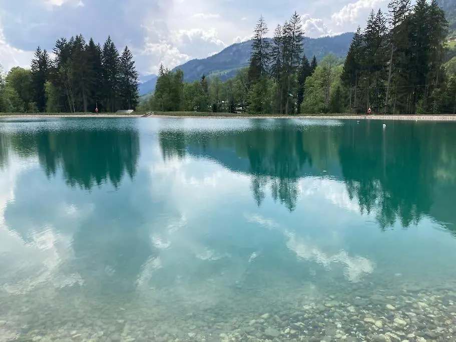 Appartamento Di Charme Praz-sur-Arly