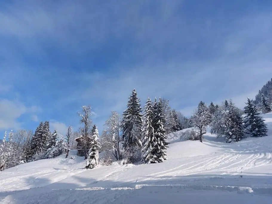 Apartment Appartamento Di Charme Praz-sur-Arly